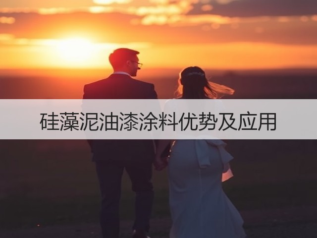 硅藻泥油漆涂料优势及应用(图3)