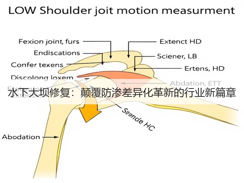 水下大坝修复:颠覆防渗差异化革新的行业新篇章 水下大坝修复:颠覆防渗差异化革新的行业新篇章