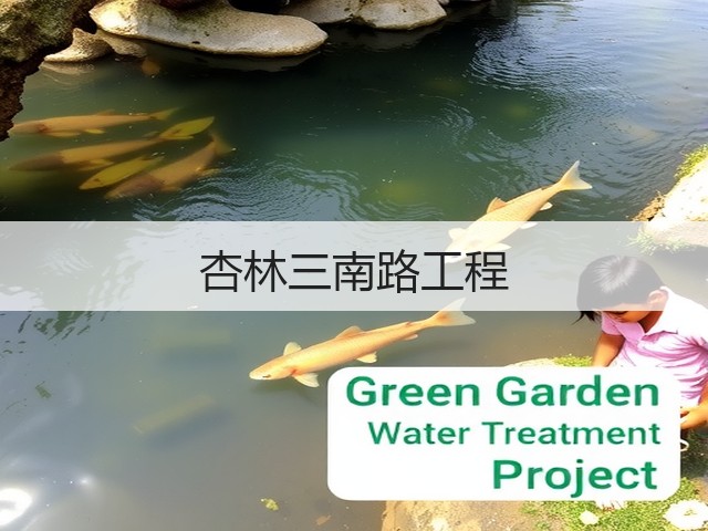杏林三南路工程(图2)
