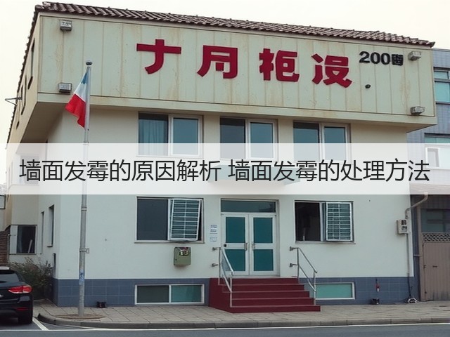 墙面发霉的原因解析 墙面发霉的处理方法(图1) 墙面发霉的原因解析 墙面发霉的处理方法(图1)
