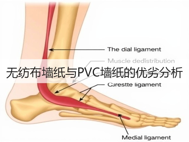 无纺布墙纸与PVC墙纸的优劣分析(图2) 无纺布墙纸与PVC墙纸的优劣分析(图2)