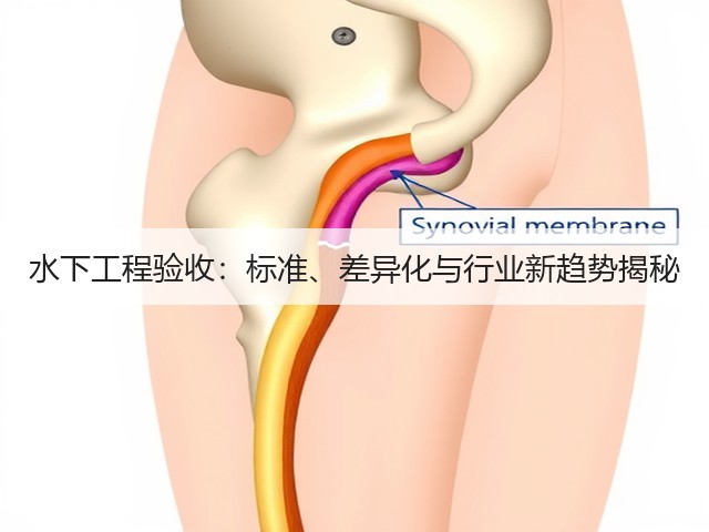 水下工程验收:标准、差异化与行业新趋势揭秘(图2) 水下工程验收:标准、差异化与行业新趋势揭秘(图2)