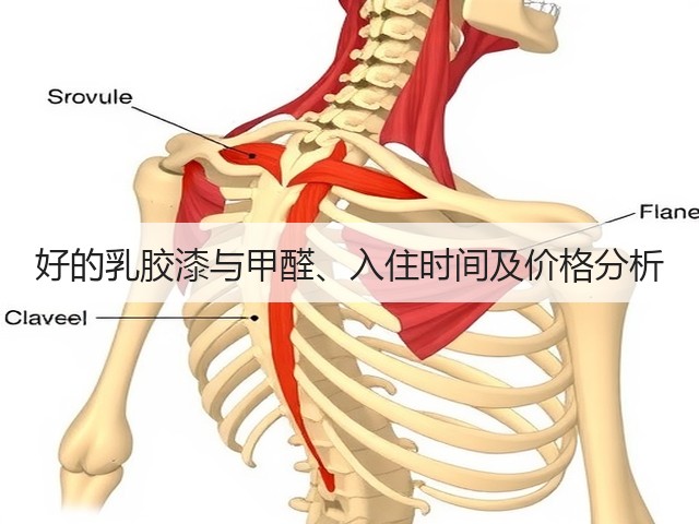 好的乳胶漆与甲醛、入住时间及价格分析(图1) 好的乳胶漆与甲醛、入住时间及价格分析(图1)