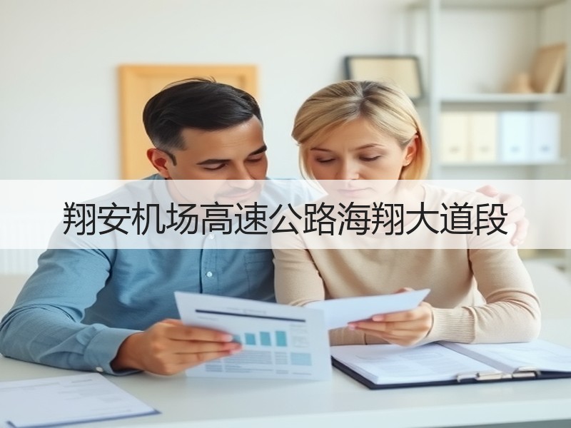 翔安机场高速公路海翔大道段