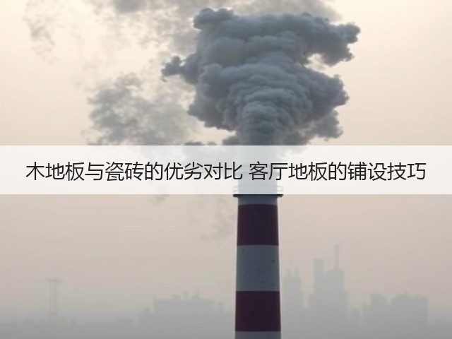 木地板与瓷砖的优劣对比 客厅地板的铺设技巧(图3) 木地板与瓷砖的优劣对比 客厅地板的铺设技巧(图3)