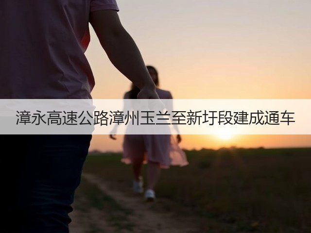 漳永高速公路漳州玉兰至新圩段建成通车(图1)
