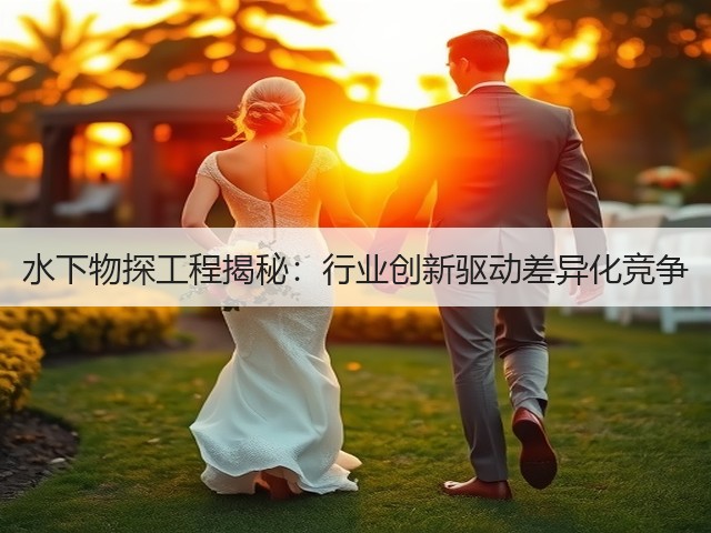 水下物探工程揭秘：行业创新驱动差异化竞争(图2)
