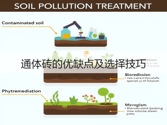 通体砖的优缺点及选择技巧(图1) 通体砖的优缺点及选择技巧(图1)