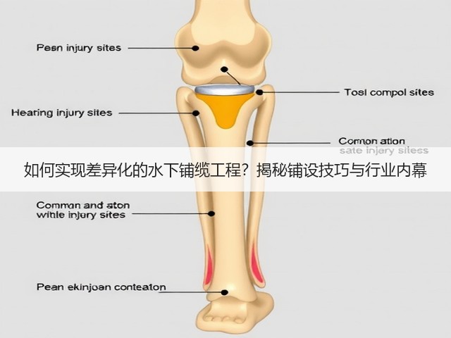 如何实现差异化的水下铺缆工程?揭秘铺设技巧与行业内幕(图1) 如何实现差异化的水下铺缆工程?揭秘铺设技巧与行业内幕(图1)