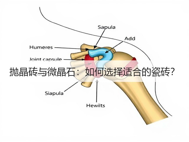 抛晶砖与微晶石:如何选择适合的瓷砖?(图1) 抛晶砖与微晶石:如何选择适合的瓷砖?(图1)