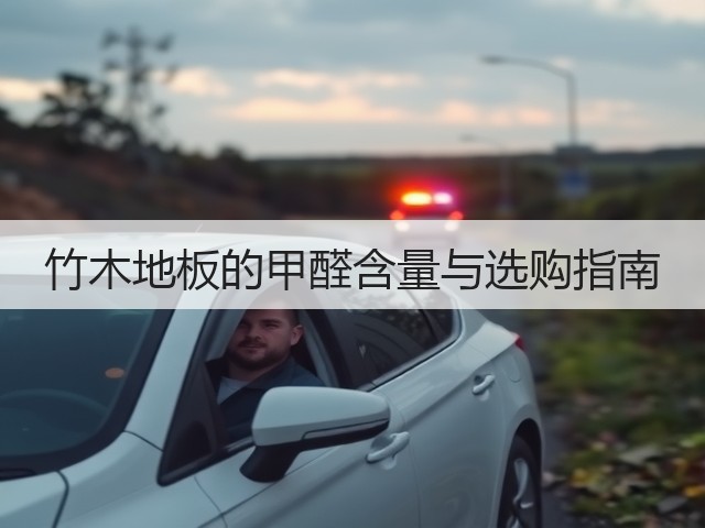 竹木地板的甲醛含量与选购指南(图3) 竹木地板的甲醛含量与选购指南(图3)