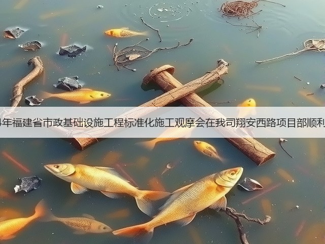 2014年福建省市政基础设施工程标准化施工观摩会在我司翔安西路项目部顺利举行(图2)