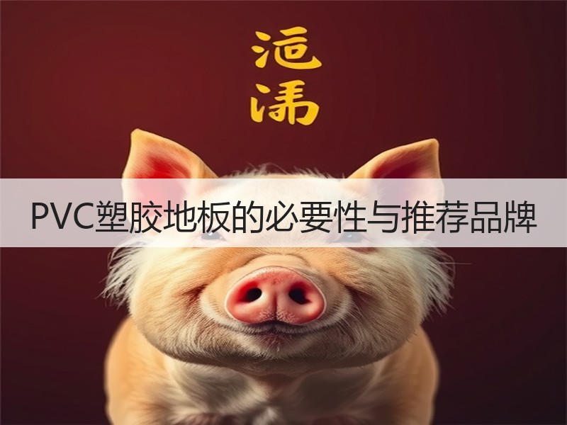 PVC塑胶地板的必要性与推荐品牌