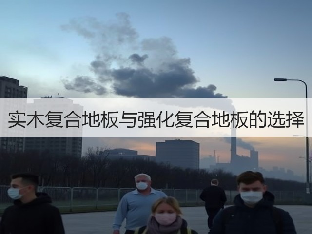 实木复合地板与强化复合地板的选择(图1) 实木复合地板与强化复合地板的选择(图1)
