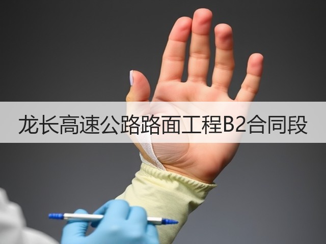 龙长高速公路路面工程B2合同段(图3) 龙长高速公路路面工程B2合同段(图3)