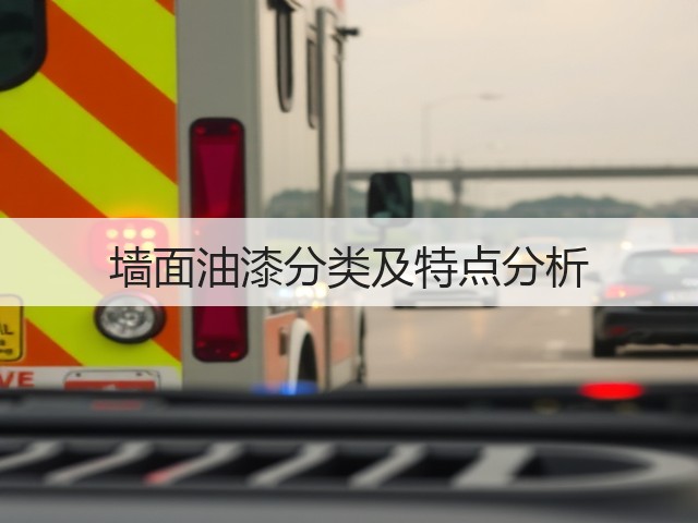 墙面油漆分类及特点分析(图3) 墙面油漆分类及特点分析(图3)