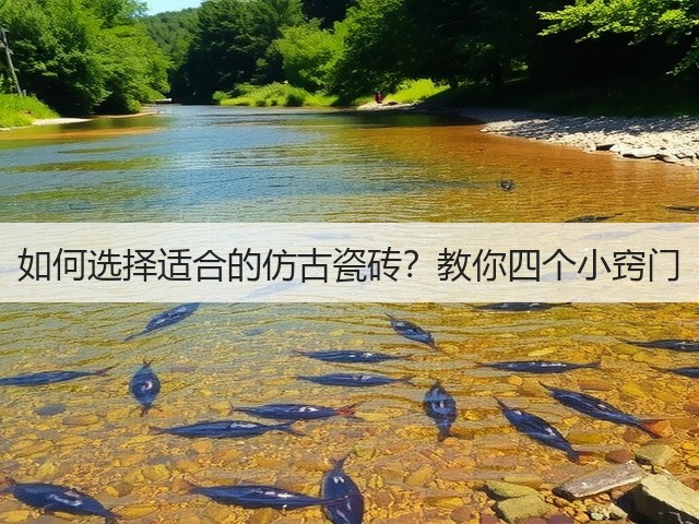 如何选择适合的仿古瓷砖?教你四个小窍门(图3) 如何选择适合的仿古瓷砖?教你四个小窍门(图3)
