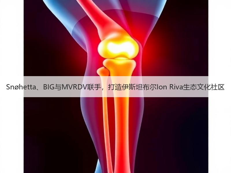 Snøhetta、BIG与MVRDV联手，打造伊斯坦布尔Ion Riva生态文化社区